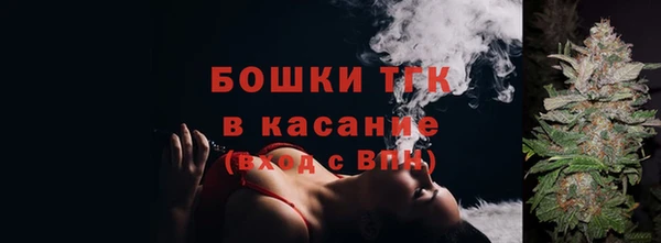 гашик Елабуга