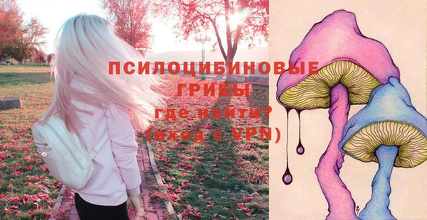 гашик Елабуга
